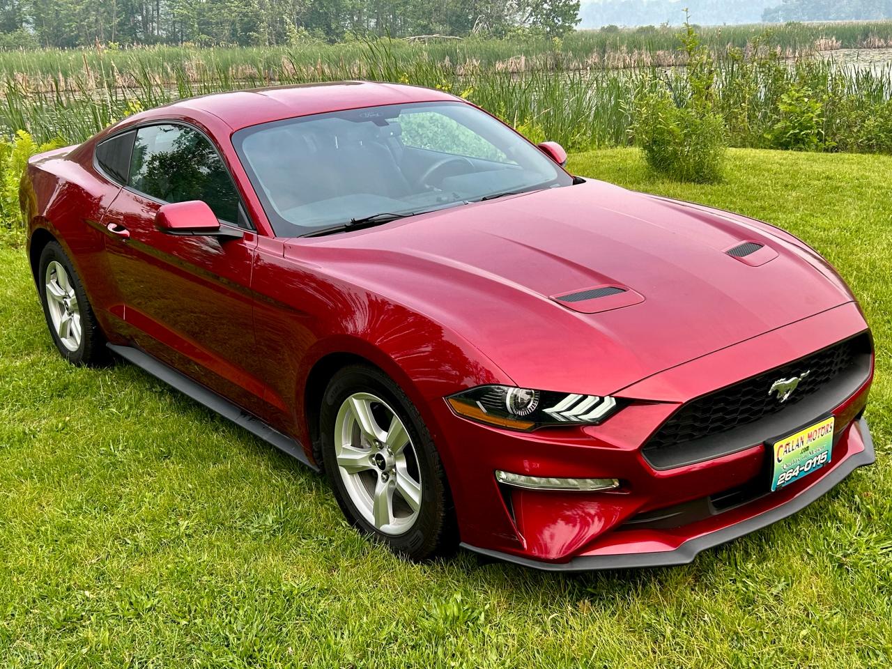 Past sale vehicle 19